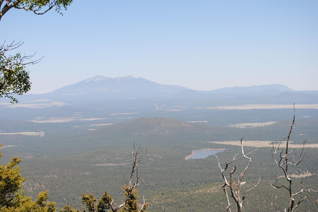 The Big Bear Apartment Williams Εξωτερικό φωτογραφία