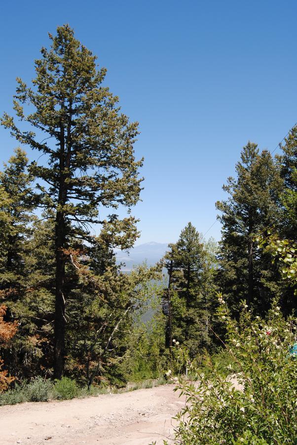 The Big Bear Apartment Williams Εξωτερικό φωτογραφία